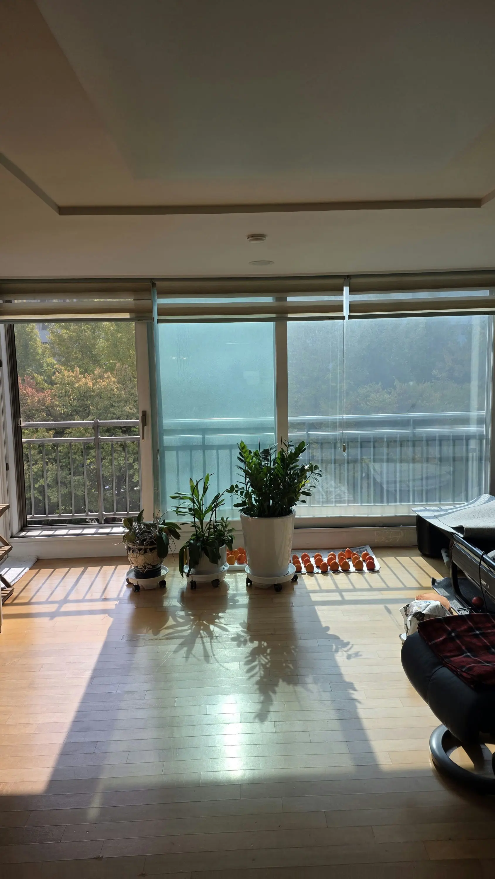강남구 도곡동 역삼럭키아파트 거실확장 창호 교체 전