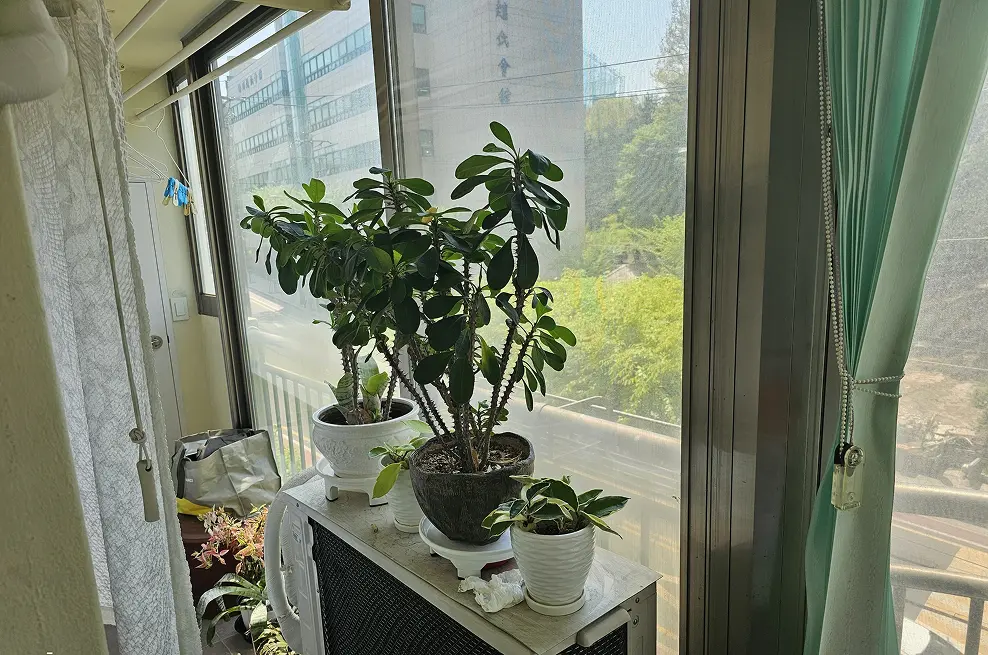강북구 번동 현대아파트 전면발코니 창호 교체 전